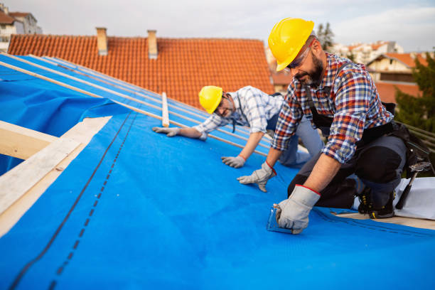 Best Storm Damage Roof Repair  in Eupora, MS