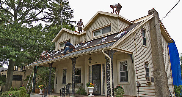 Best Shingle Roofing Installation  in Eupora, MS